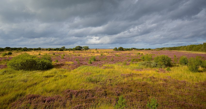 Melby Overdrev(1).jpg