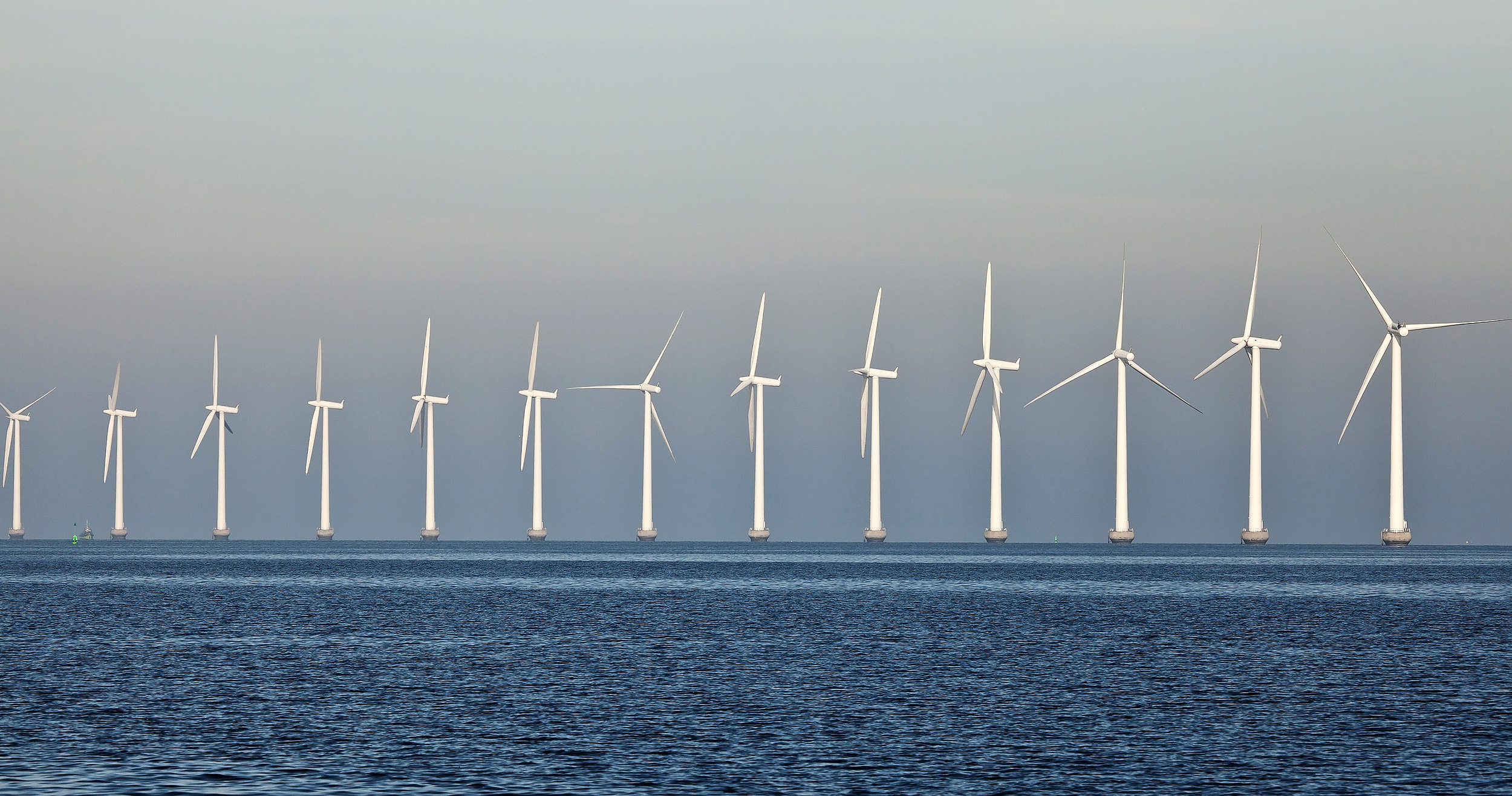 Vindmøller, Klima og Biodiversitet. Husk på naturen og klimaet, når du sætter dit X