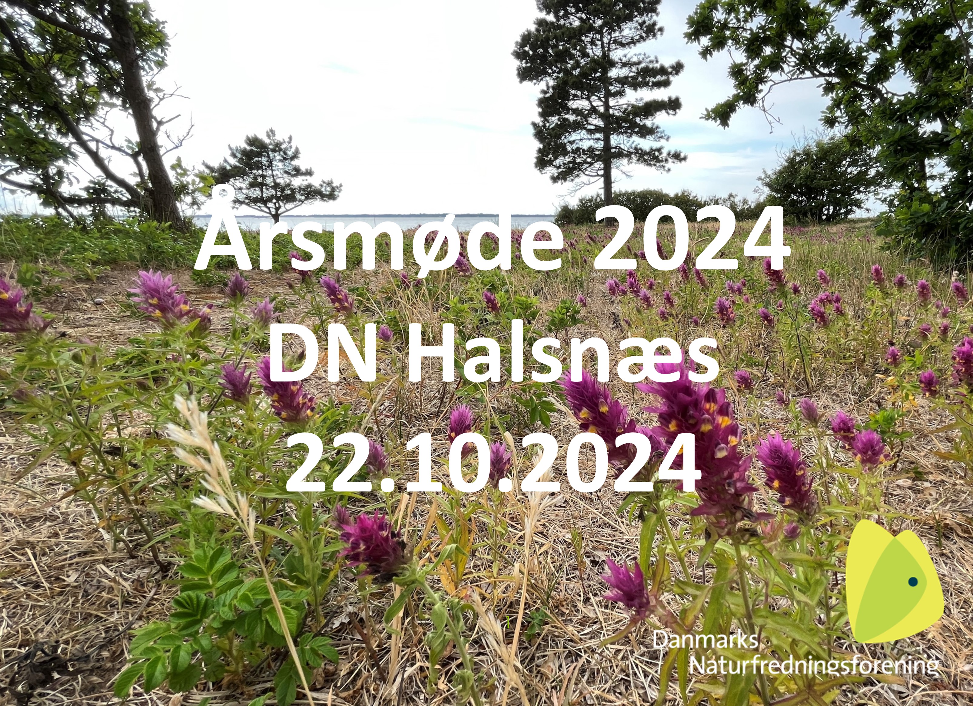 DN Halsnæs årsberetning for 2024