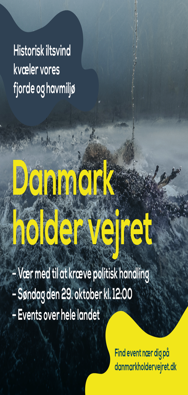 Vi holder vejret for havnaturen i Nordsjælland