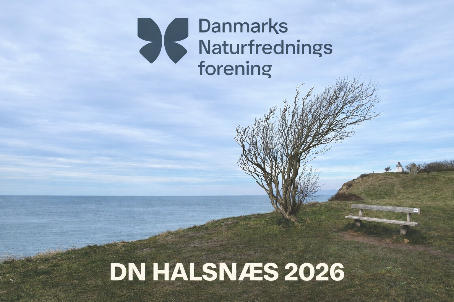 Folder om DN Halsnæs aktiviteter for 2026