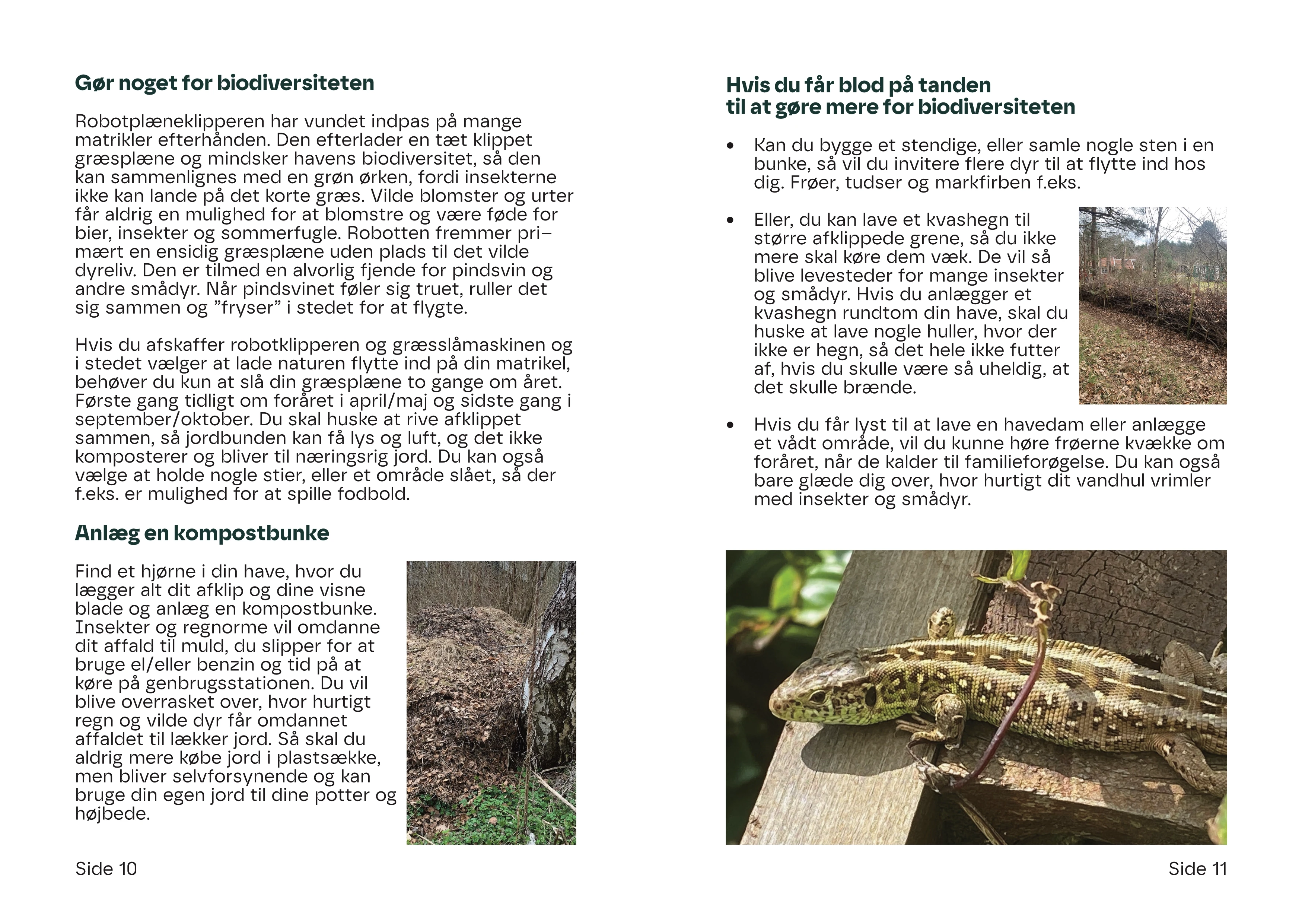 Todo
